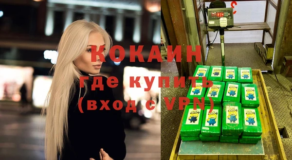 гашик Вязьма