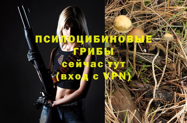 ГАЛЛЮЦИНОГЕННЫЕ ГРИБЫ Волоколамск