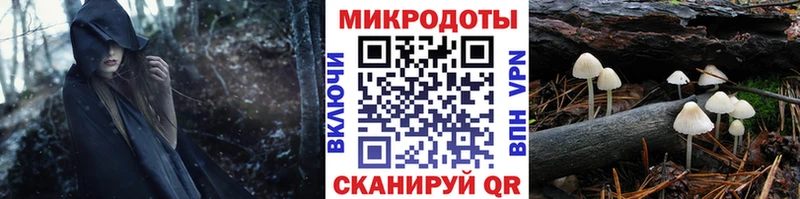 Купить закладки  Кумертау  Галлюциногенные грибы Psilocybe 